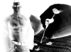 Szary + Negatyw