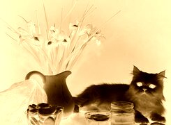 Sepia + Negatyw