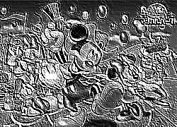 Skamielina