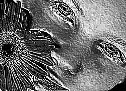 Skamielina