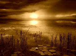 Sepia