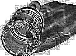 Skamielina