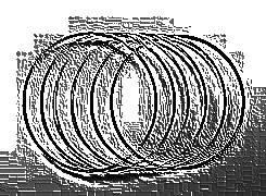 Skamielina
