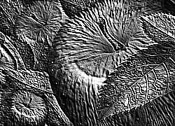 Skamielina