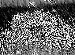Skamielina