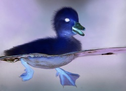Negatyw