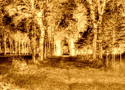 Sepia + Negatyw