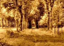 Sepia