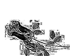 Skamielina