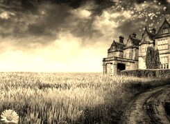Szary + Sepia