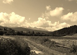 Szary + Sepia