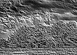 Skamielina