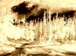 Sepia + Negatyw