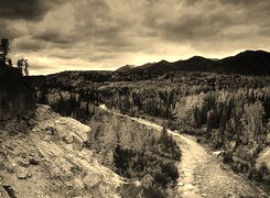 Szary + Sepia