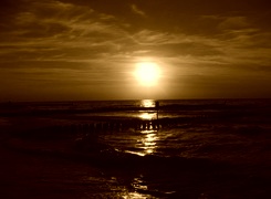 Sepia