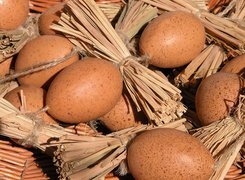 Oryginalny obrazek