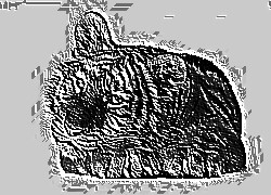 Skamielina