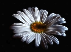 Oryginalny obrazek