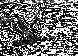 Skamielina