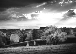 Szary + Sepia