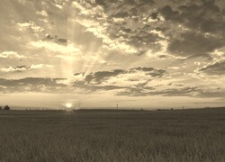 Szary + Sepia