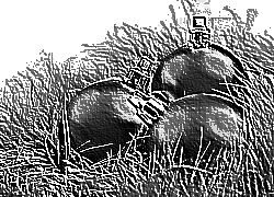 Skamielina