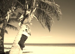Szary + Sepia