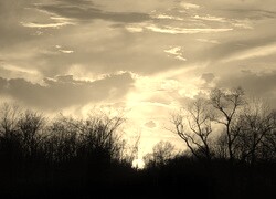 Szary + Sepia