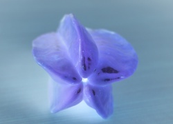 Negatyw