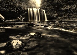 Sepia