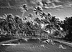 Skamielina