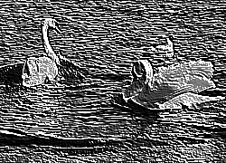 Skamielina
