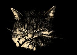 Szary + Sepia