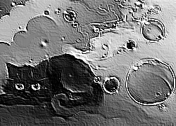 Skamielina