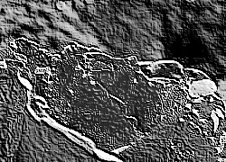 Skamielina