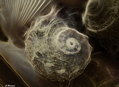 Oryginalny obrazek