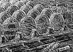 Skamielina