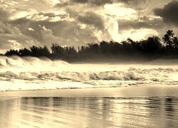 Szary + Sepia
