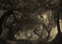 Szary + Sepia