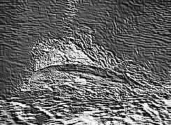 Skamielina