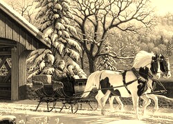 Szary + Sepia