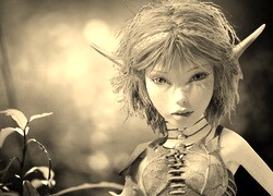 Szary + Sepia