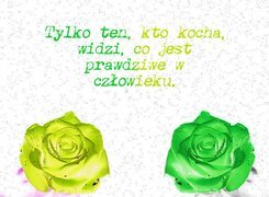 Negatyw