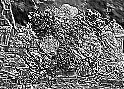 Skamielina