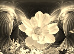 Szary + Sepia