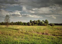 Oryginalny obrazek