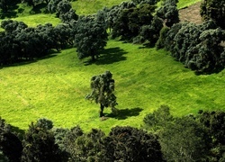 Oryginalny obrazek