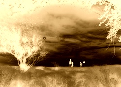 Sepia + Negatyw