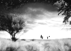 Szary + Sepia