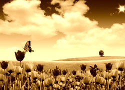 Sepia